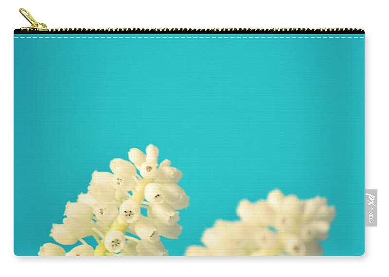 Netherlands Zip Pouch featuring the photograph White Muscari Flowers by Photo By Ira Heuvelman-dobrolyubova