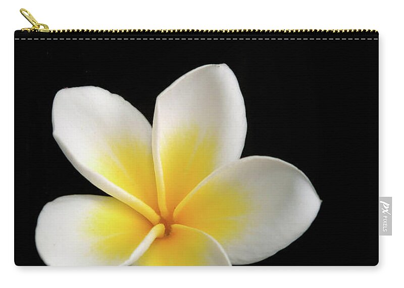 Black Color Zip Pouch featuring the photograph White On Black Plumeria by Rodkosmos