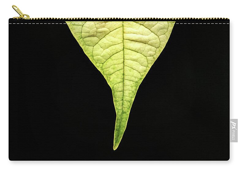 Flower Zip Pouch featuring the photograph White Poinsettia Leaf by Don Johnson