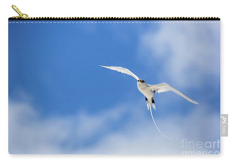 Bird Island Zip Pouch featuring the photograph White-tailed tropicbird b2 by Eyal Bartov