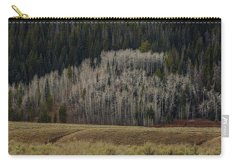 Trees Zip Pouch featuring the photograph White aspen trees, Wyoming by Julieta Belmont