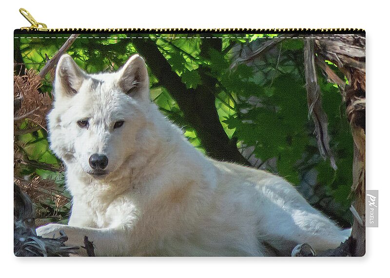 Wolf Zip Pouch featuring the photograph White Wolf by Timothy Anable
