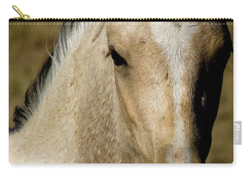 Andalusia Zip Pouch featuring the photograph Wild Mustangs of New Mexico 5 by Catherine Sobredo