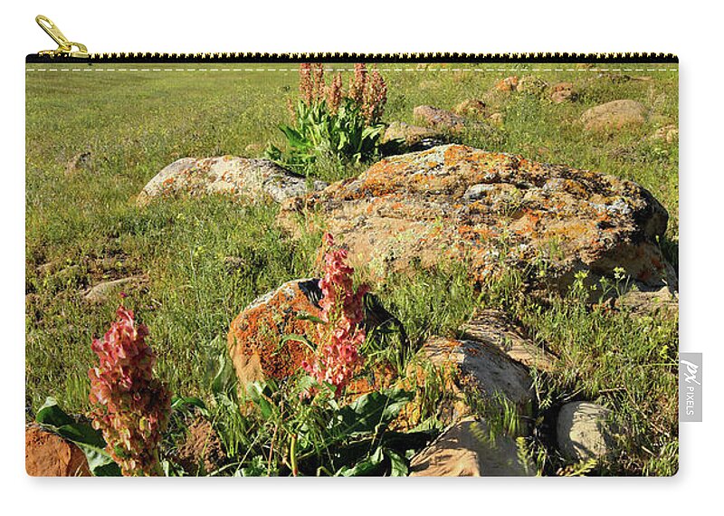 Book Cliffs Zip Pouch featuring the photograph Wildflower Blooms in Book Cliffs by Ray Mathis