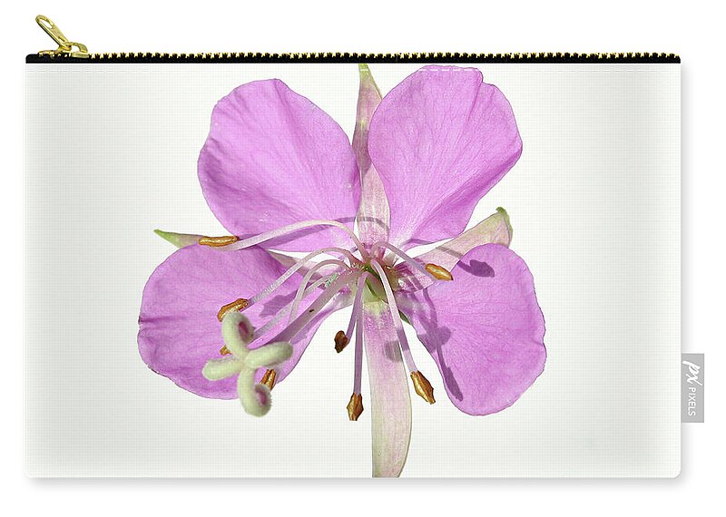 Close Up Zip Pouch featuring the photograph wildflowers pink fireweed Epilobium angustifolium by Robert C Paulson Jr