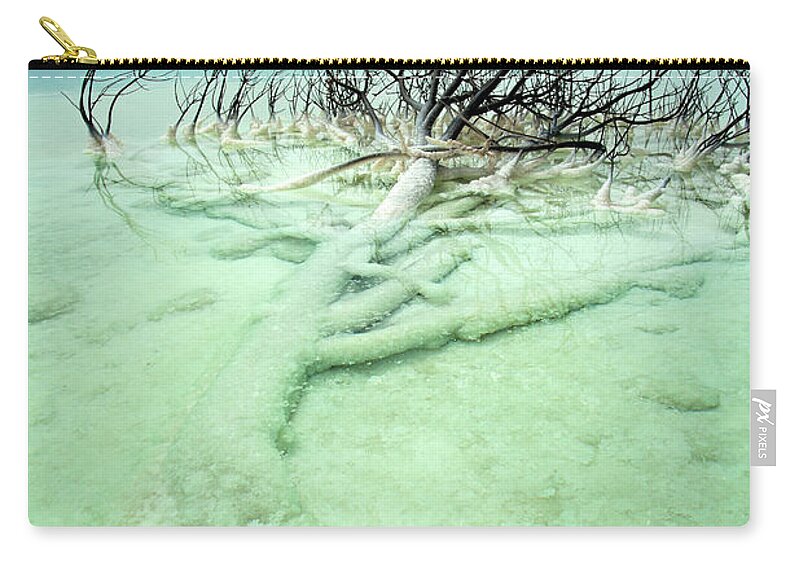 Scenics Zip Pouch featuring the photograph Wilted Bush In Dead Sea by Eldadcarin