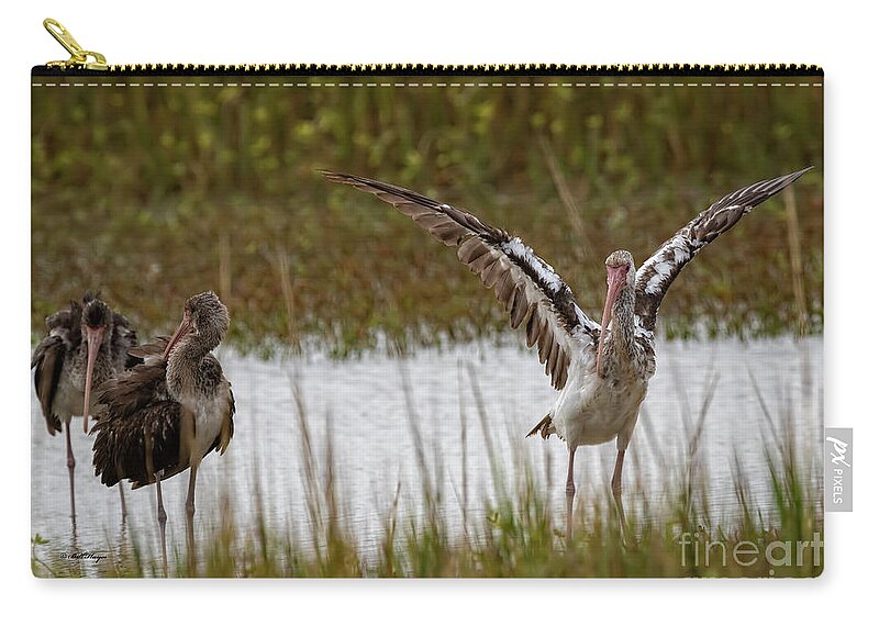 Ibis Zip Pouch featuring the photograph Wings of Youthful Beauty by DB Hayes