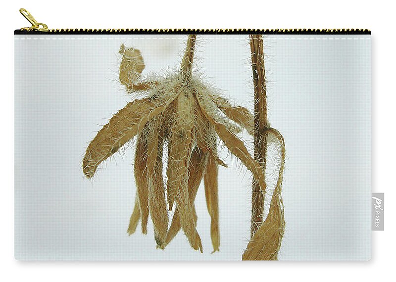Winter Zip Pouch featuring the photograph Winter Botanical 5 by Amy E Fraser
