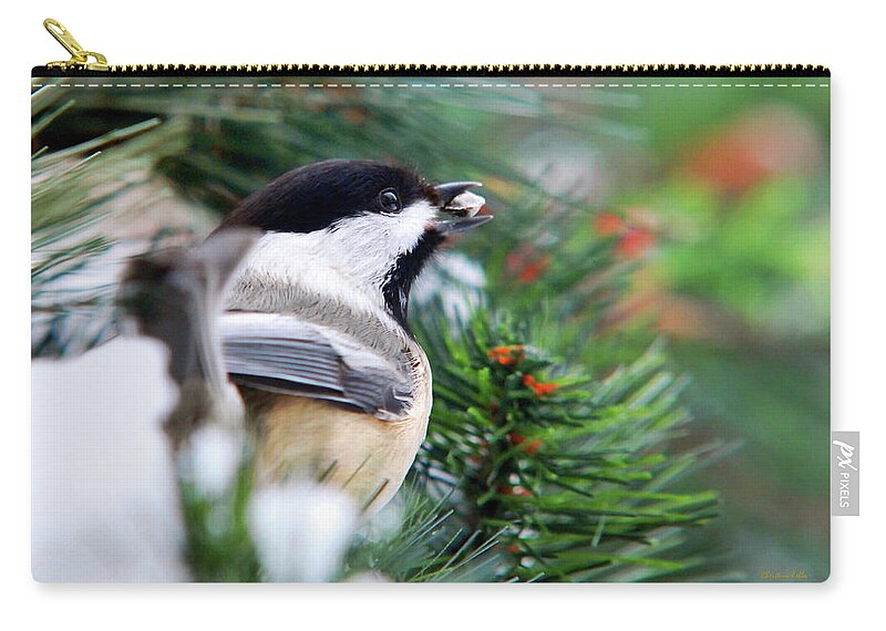 Bird Zip Pouch featuring the photograph Winter Chickadee With Seed by Christina Rollo