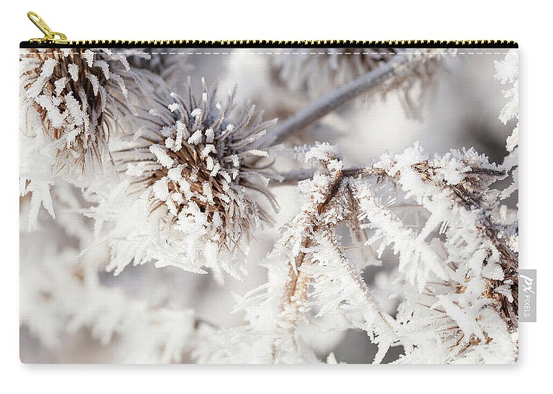 Freezing Carry-all Pouch featuring the photograph Winter frost on a garden thistle close up by Simon Bratt