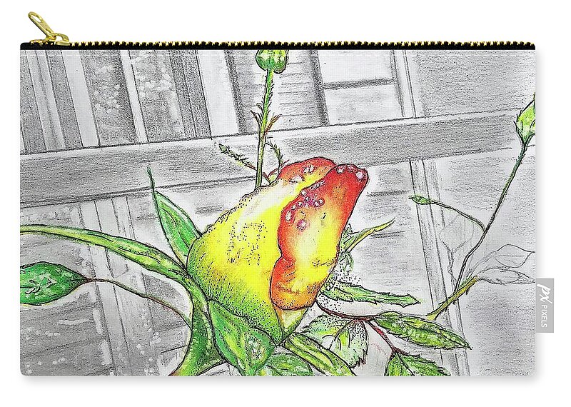 Rose Bud Friendship Love Porch Grow Flower Fragrant Rose Watercolor Abstract Cherished Elegant Fragrant Blue Aqua Symbolic Love Perennial Flowering Flower Flowers Red Blue Shrubs Climbing Stems Thorns Petal Petals Woody Bouquet Romance Classic Loved Valentine Perfume Essential Oils Balance Beginnings Hope Unique Garden Ornamental Plant Garden Zip Pouch featuring the drawing With Deep Affection by Fine Art By Edie