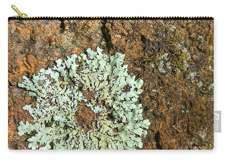 Photography Zip Pouch featuring the photograph Woodland 54 by Amy E Fraser