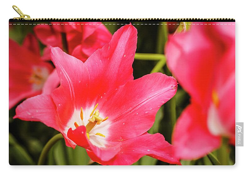 America Zip Pouch featuring the photograph Yearning for More by ProPeak Photography