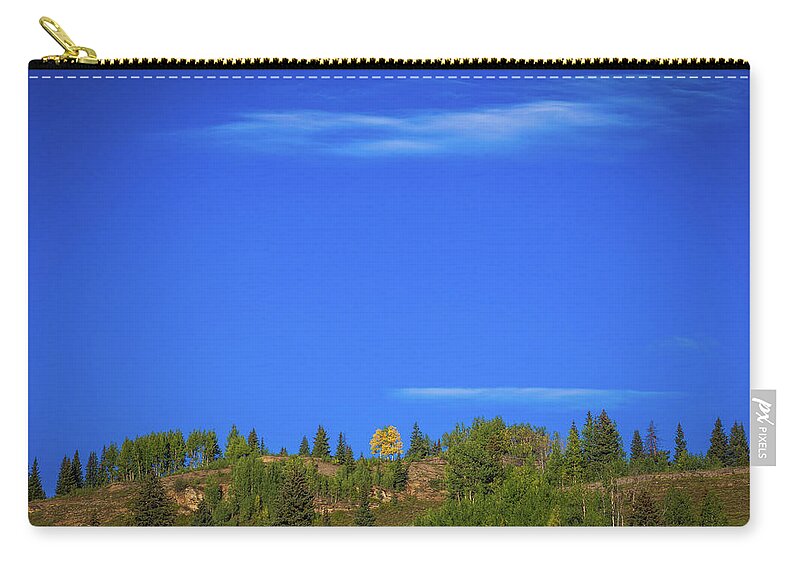 Aspens Zip Pouch featuring the photograph Yellow # 1 by Jen Manganello