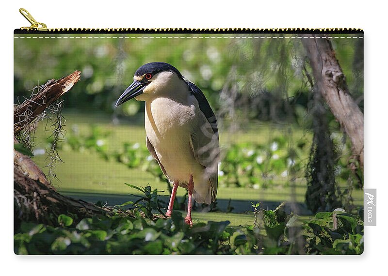 Yellow Crown Night Heron Zip Pouch featuring the photograph Yellow Crown Night Heron by JASawyer Imaging
