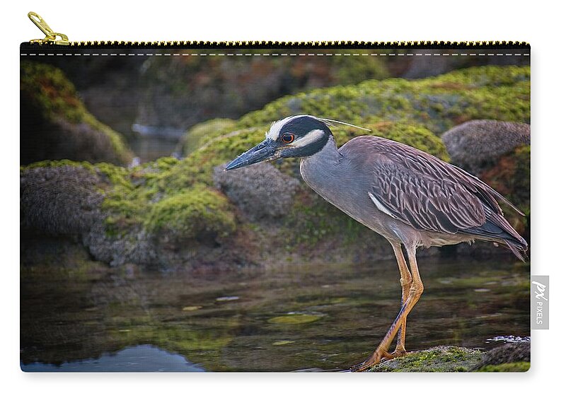 Coral Cove Carry-all Pouch featuring the photograph Yellow-crowned Night Heron by Steve DaPonte