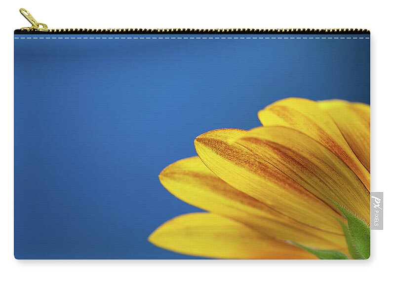 Clear Sky Zip Pouch featuring the photograph Yellow Flower by Www.asif-ali.com