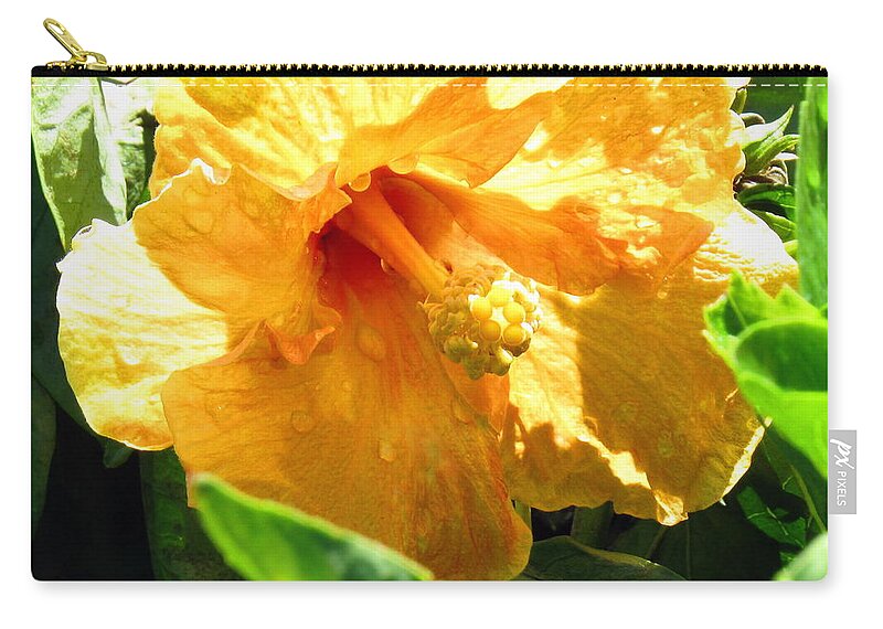 Flower Zip Pouch featuring the photograph Yellow Giant After The Rain by Amy Hosp