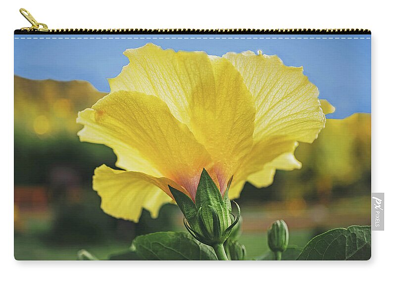 Outdoors Zip Pouch featuring the photograph Yellow Hibiscus by Silvia Marcoschamer