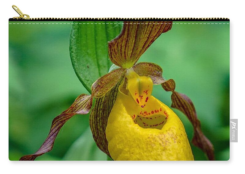 Flower Zip Pouch featuring the photograph Yellow Lady's Slipper by Susan Rydberg