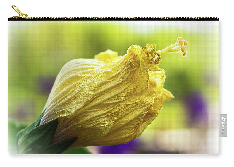 Outdoors Zip Pouch featuring the photograph Yellow mature hibiscus by Silvia Marcoschamer