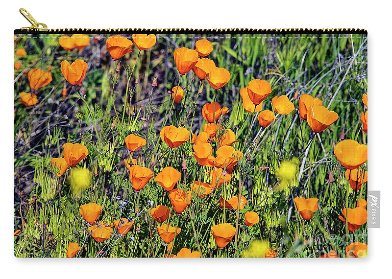 Yellow Poppies Of California Carry-all Pouch featuring the photograph Yellow Poppies of California by Mae Wertz