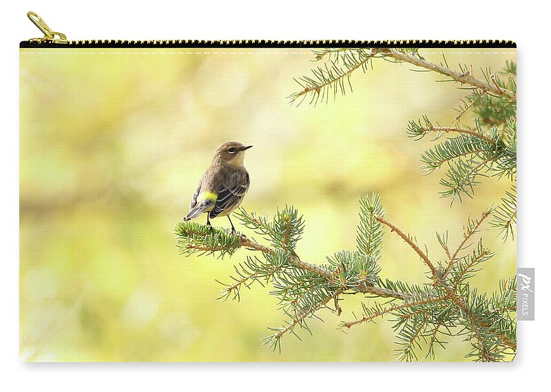 Yellow-rumped Warbler Zip Pouch featuring the photograph Yellow-rumped Warbler by Ryan Crouse