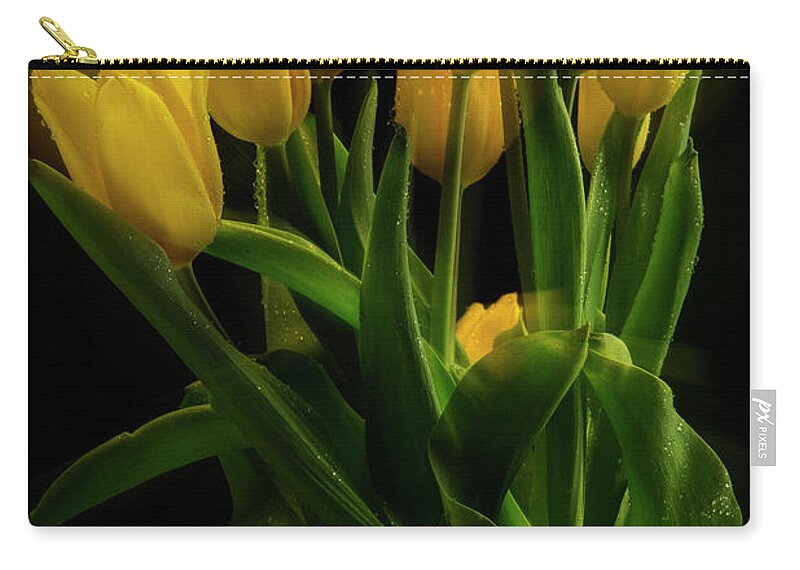 Tulips Zip Pouch featuring the photograph Yellow Tulips in the Wind by Frederic A Reinecke