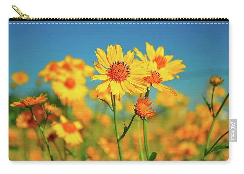 New Mexico Zip Pouch featuring the photograph Yellow Wildflowers by Sandy L. Kirkner