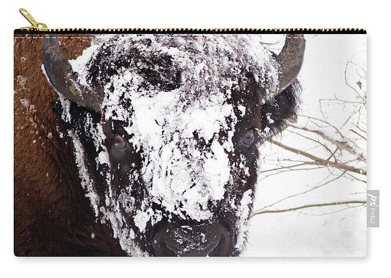 Bison Zip Pouch featuring the photograph Yes It's Cold by Patrick Nowotny