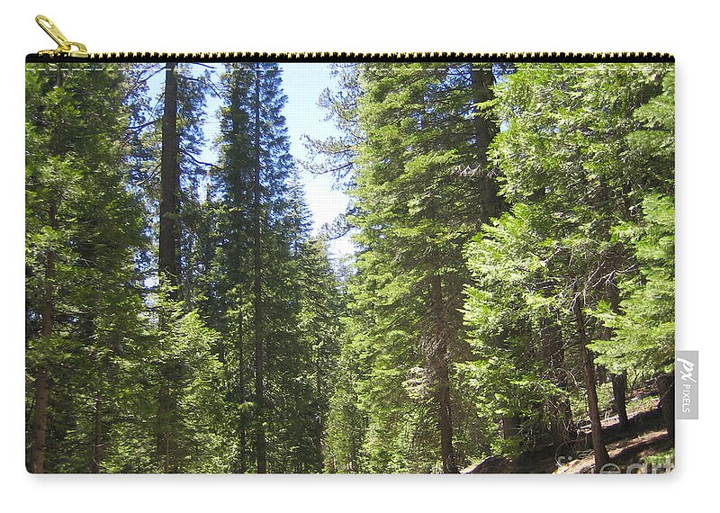 Yosemite Zip Pouch featuring the photograph Yosemite National Park Looking at Row After Row of Beautiful Trees Along the Road by John Shiron