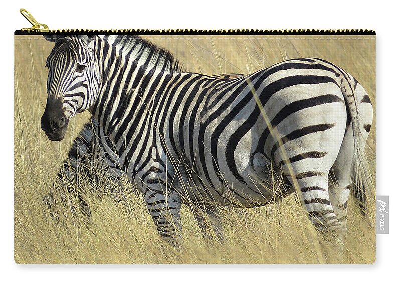Africa Zip Pouch featuring the photograph Zebra by Eric Pengelly