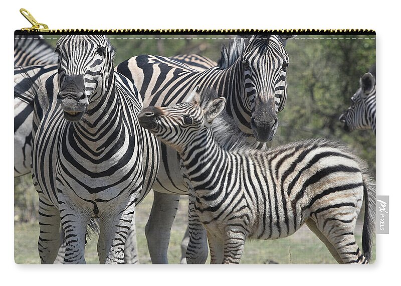 Zebra Carry-all Pouch featuring the photograph Zebra Family by Ben Foster