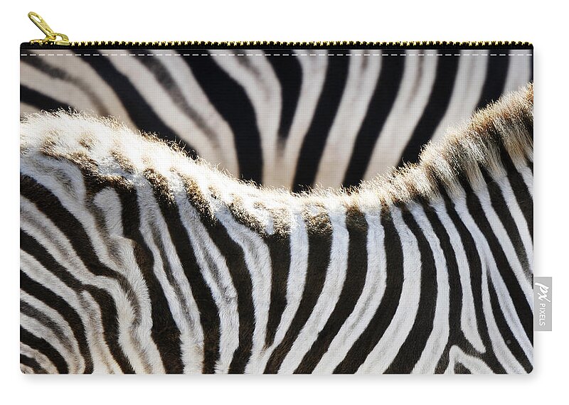 Black Color Zip Pouch featuring the photograph Zebras by Geri Lavrov