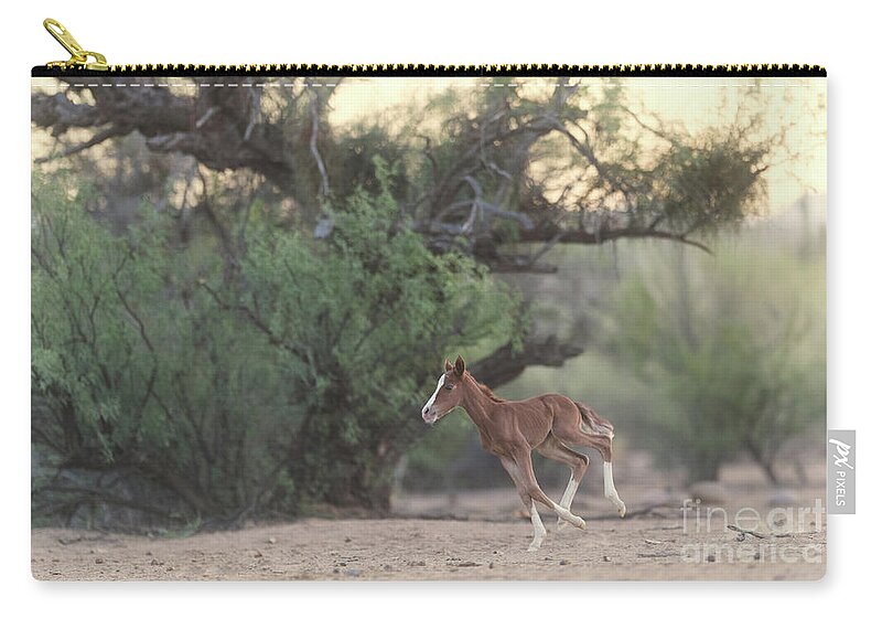 Cute Carry-all Pouch featuring the photograph Zoomies by Shannon Hastings