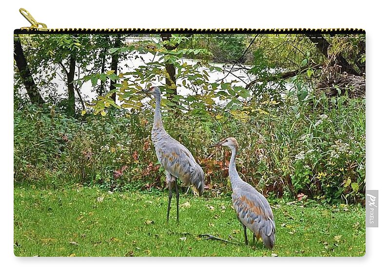 Sandhill Crane; Backyard; Birds; Zip Pouch featuring the photograph 2021 Fall Sandhill Cranes 8 by Janis Senungetuk