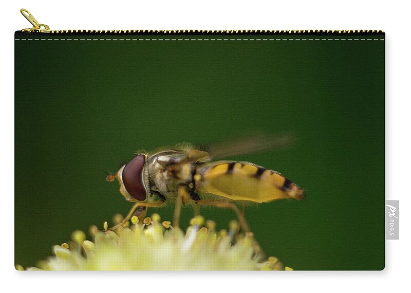 Nature Zip Pouch featuring the photograph A hoverfly enjoying flower nectar #2 by Maria Dimitrova