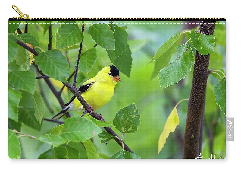 American Zip Pouch featuring the photograph American Goldfinch #1 by Al Mueller