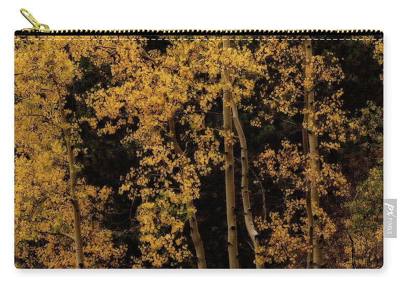Co Zip Pouch featuring the photograph Aspens in sunlight #1 by Doug Wittrock