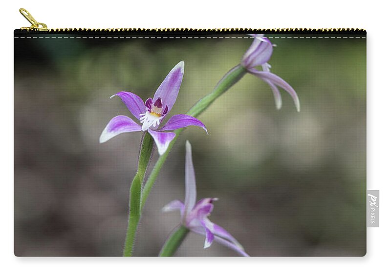 Floral Zip Pouch featuring the photograph Australian Fairy Orchid #2 by Elaine Teague