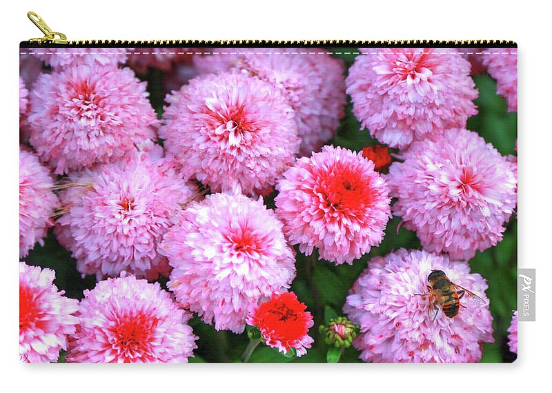 Honeybee Zip Pouch featuring the photograph Bee Among the Mums #1 by Robert Harris