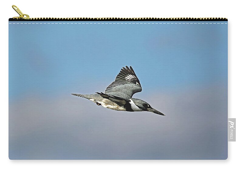 Florida Zip Pouch featuring the photograph Belted Kingfisher In Flight #1 by Jennifer Robin