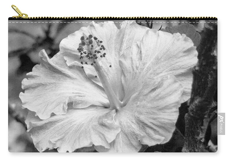 Flower Zip Pouch featuring the photograph Black and White Hibiscus 2 #1 by Amy Fose