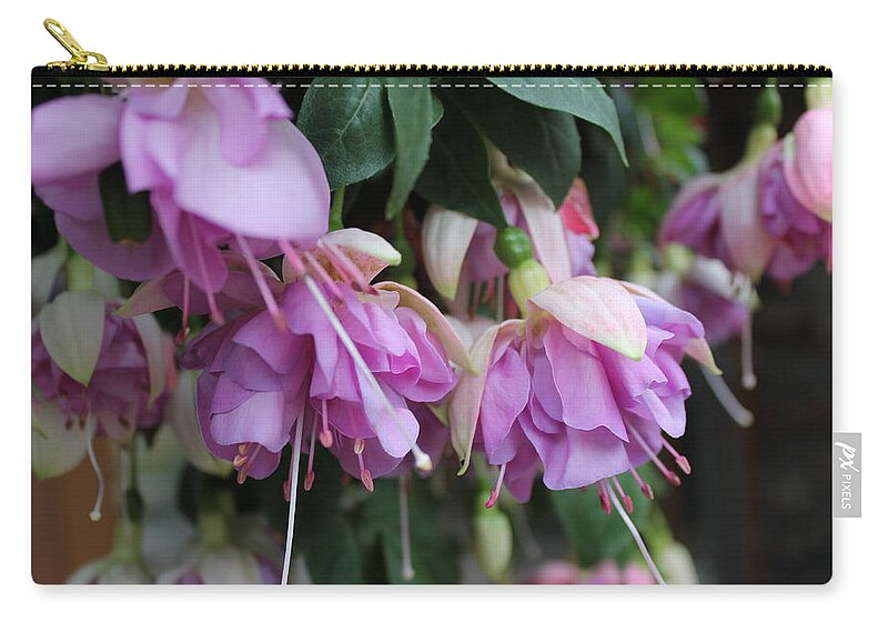 Fuchsia Zip Pouch featuring the photograph Blooming Fuchsia #1 by Jindra Noewi