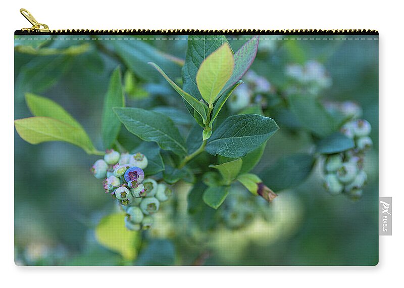 Blueberry Zip Pouch featuring the photograph Blueberry Bush #1 by Amelia Pearn