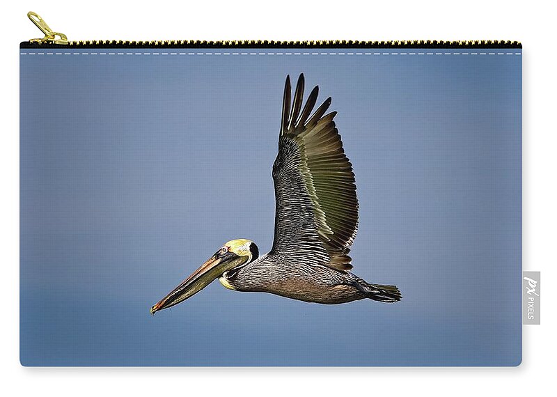 America Zip Pouch featuring the photograph Male Brown Pelican flying along John's Pass by Ronald Lutz