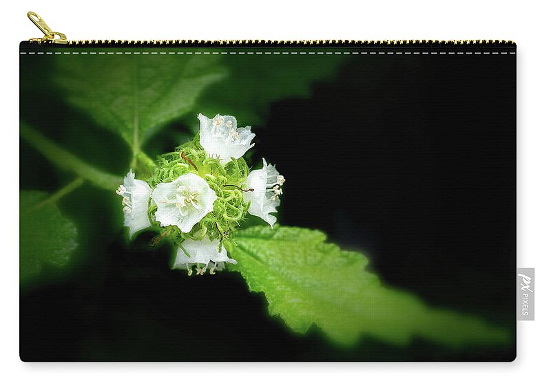 Translucent Flowers Zip Pouch featuring the photograph Butterfly Sage #1 by Louise Lindsay