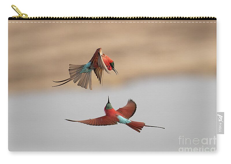 Zambia Zip Pouch featuring the photograph Carmine bee-eaters #1 by Patrick Nowotny