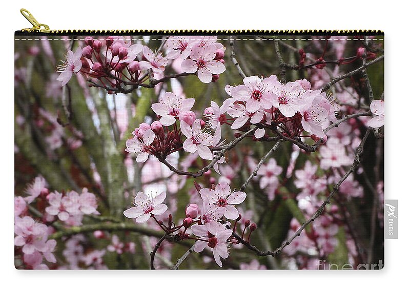 Cherry Blossoms Zip Pouch featuring the photograph Cherry Blossoms #1 by Scott Cameron