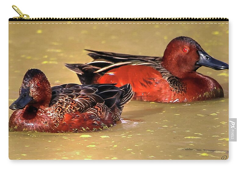 Cinnamon Teal Zip Pouch featuring the photograph Cinnamon Teal Pair #1 by Robert Harris